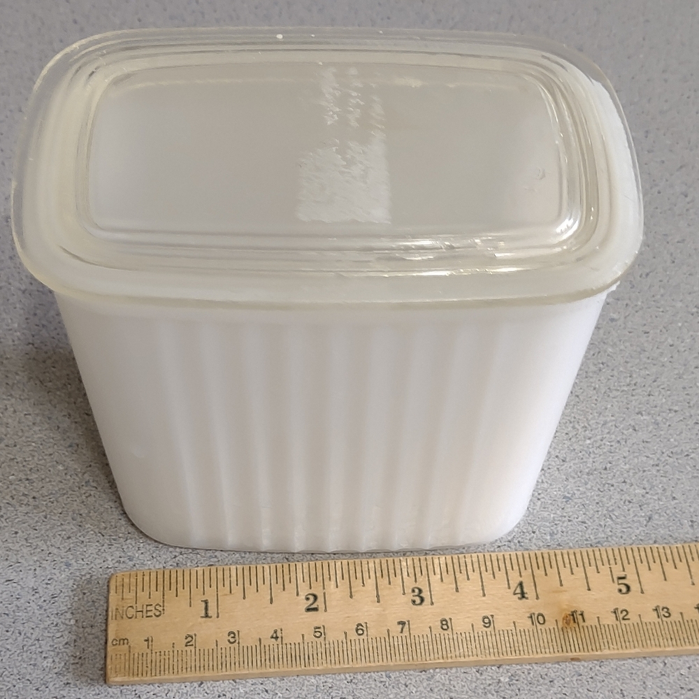 Firm Final price!*Fridge dish/cover(4x4)